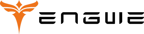 Engwe  Official Store
